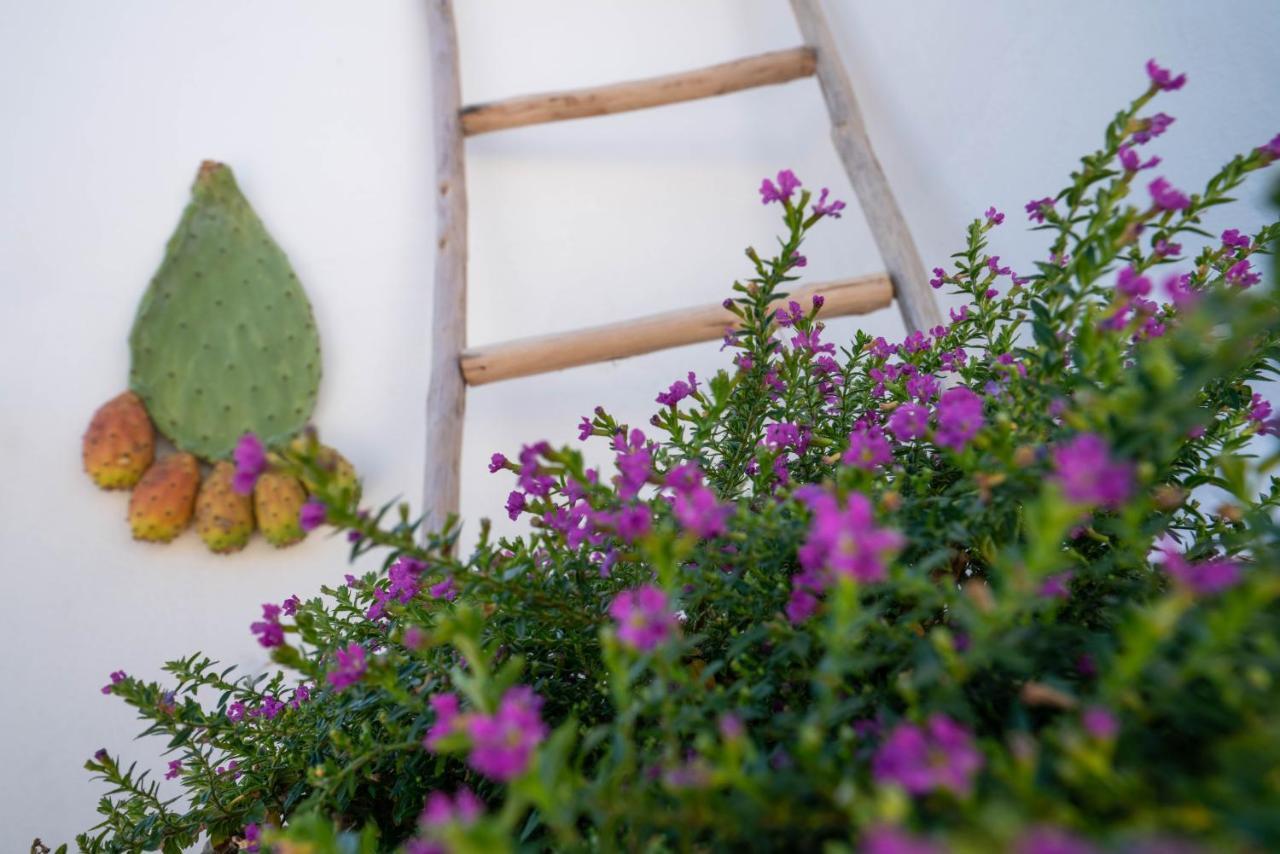 Apartament Marianna 25 Polignano a Mare Zewnętrze zdjęcie