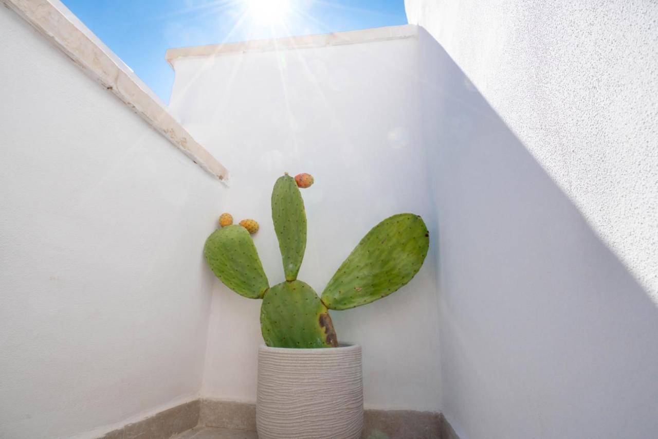 Apartament Marianna 25 Polignano a Mare Zewnętrze zdjęcie